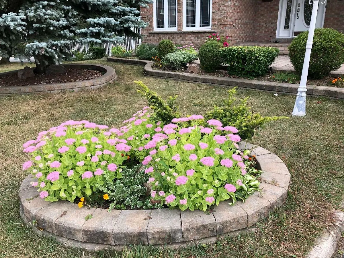 Comfort Rooms Near Toronto Airport Mississauga
