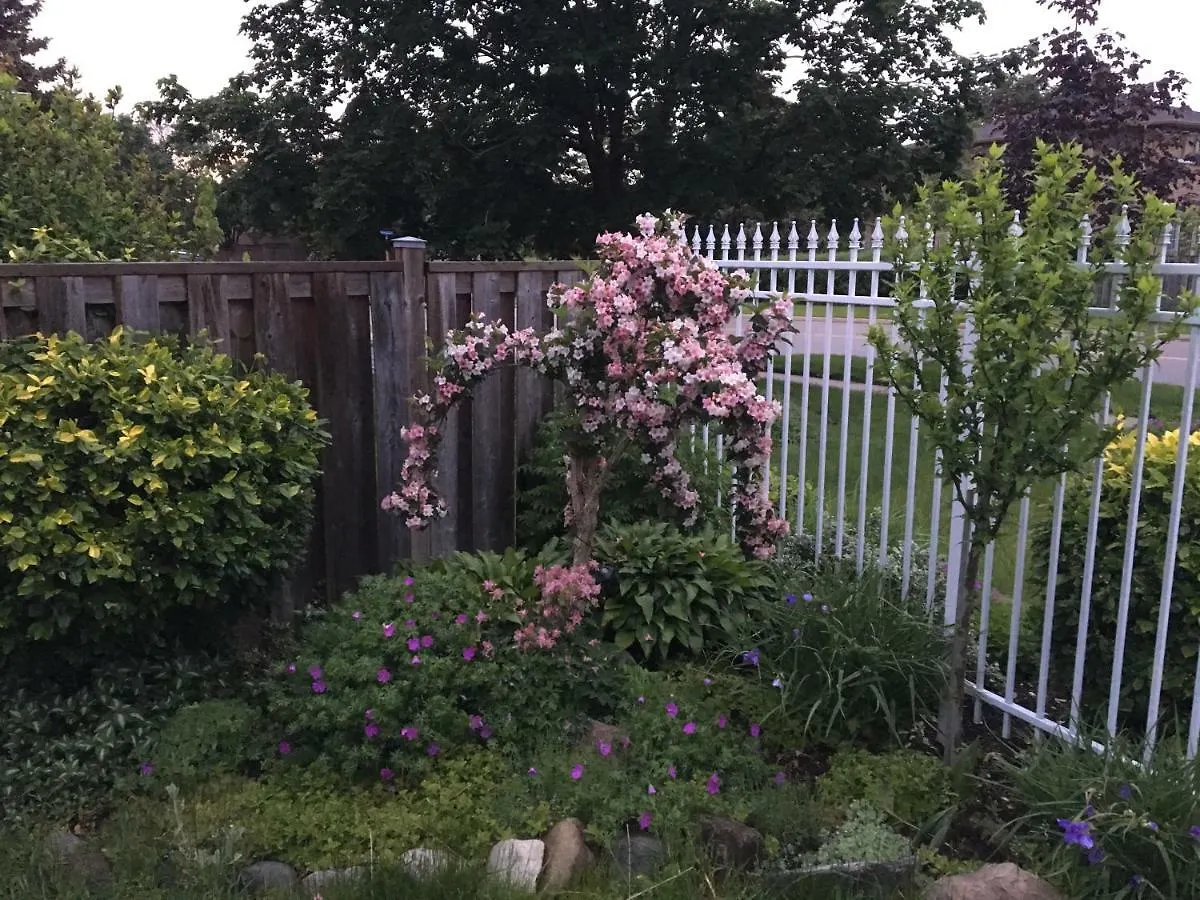 Comfort Rooms Near Toronto Airport Mississauga Homestay